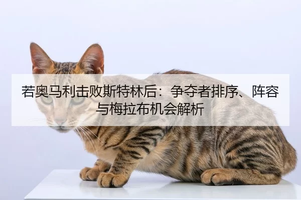 若奥马利击败斯特林后：争夺者排序、阵容与梅拉布机会解析
